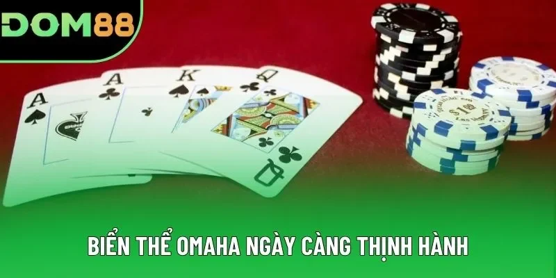 Biển thể Omaha ngày càng thịnh hành