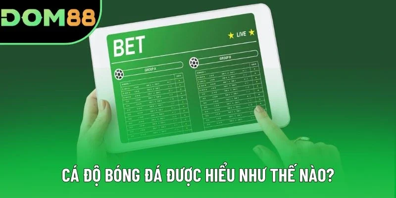 Cá độ bóng đá được hiểu như thế nào?