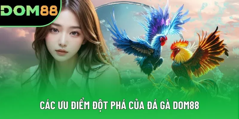 Các ưu điểm đột phá của đá gà DOM88