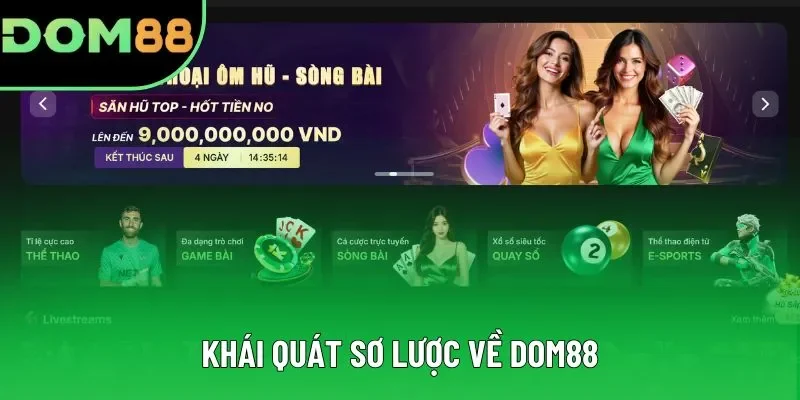 Khái quát sơ lược về DOM88