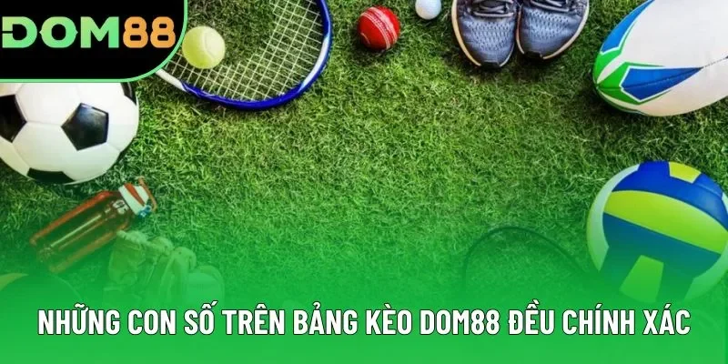 Những con số trên bảng kèo DOM88 đều chính xác Những con số trên bảng kèo DOM88 đều chính xác