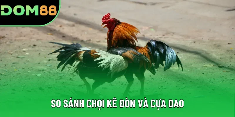 So sánh chọi kê đòn và cựa dao