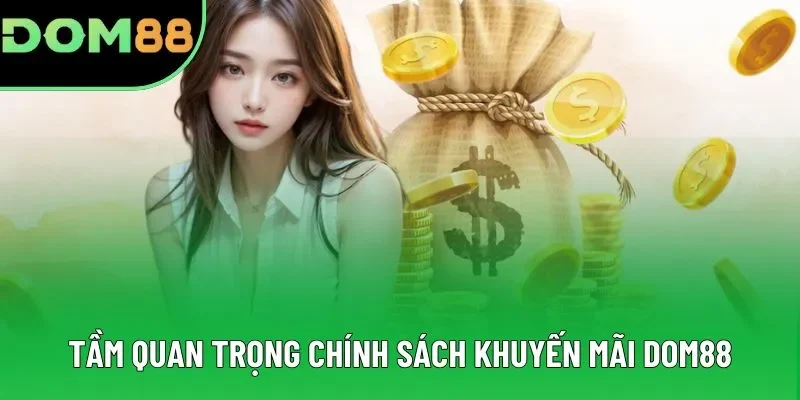 Tầm quan trọng chính sách khuyến mãi DOM88
