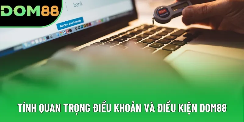 Tính quan trọng điều khoản và điều kiện DOM88