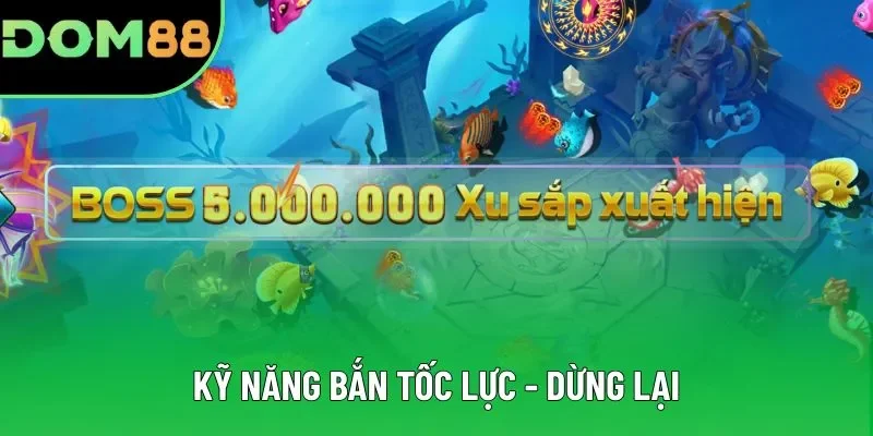 Trau dồi kỹ năng bắn tốc lực - dừng lại Trau dồi kỹ năng bắn tốc lực - dừng lại